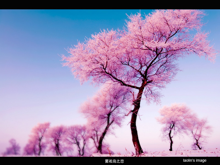 ڡ֮