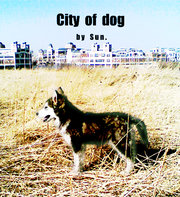 City of dog