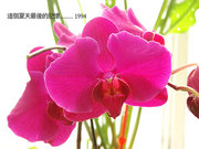ļ䣨䷡