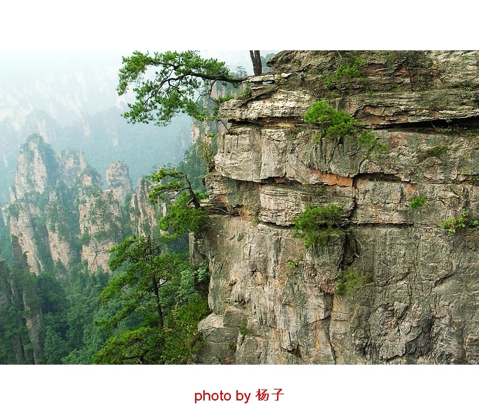 ǣżҽ