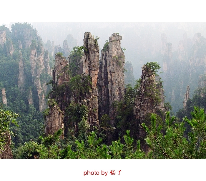 ǣżҽ