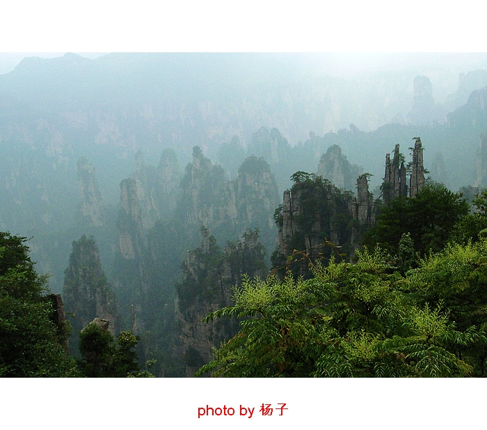 ǣżҽ