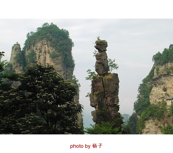 ǣżҽ
