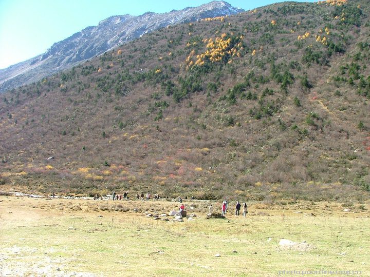 ֮