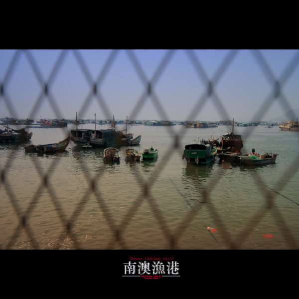 ϰ[ķ羰ƪ]-ҺĳNO.16