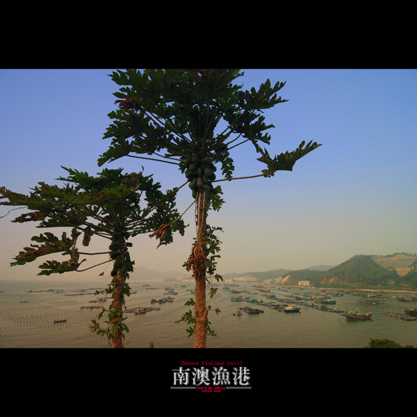 ϰ[ķ羰ƪ]-ҺĳNO.16
