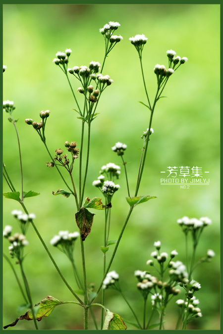 -ݼNO.2