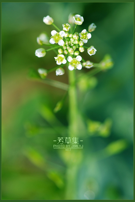 -ݼNO.2