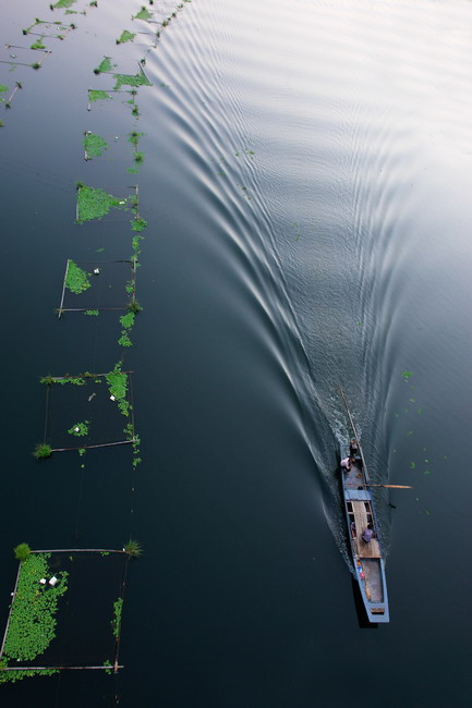 ۽