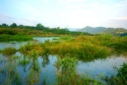 流溪河风景