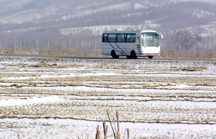 ǲѩ