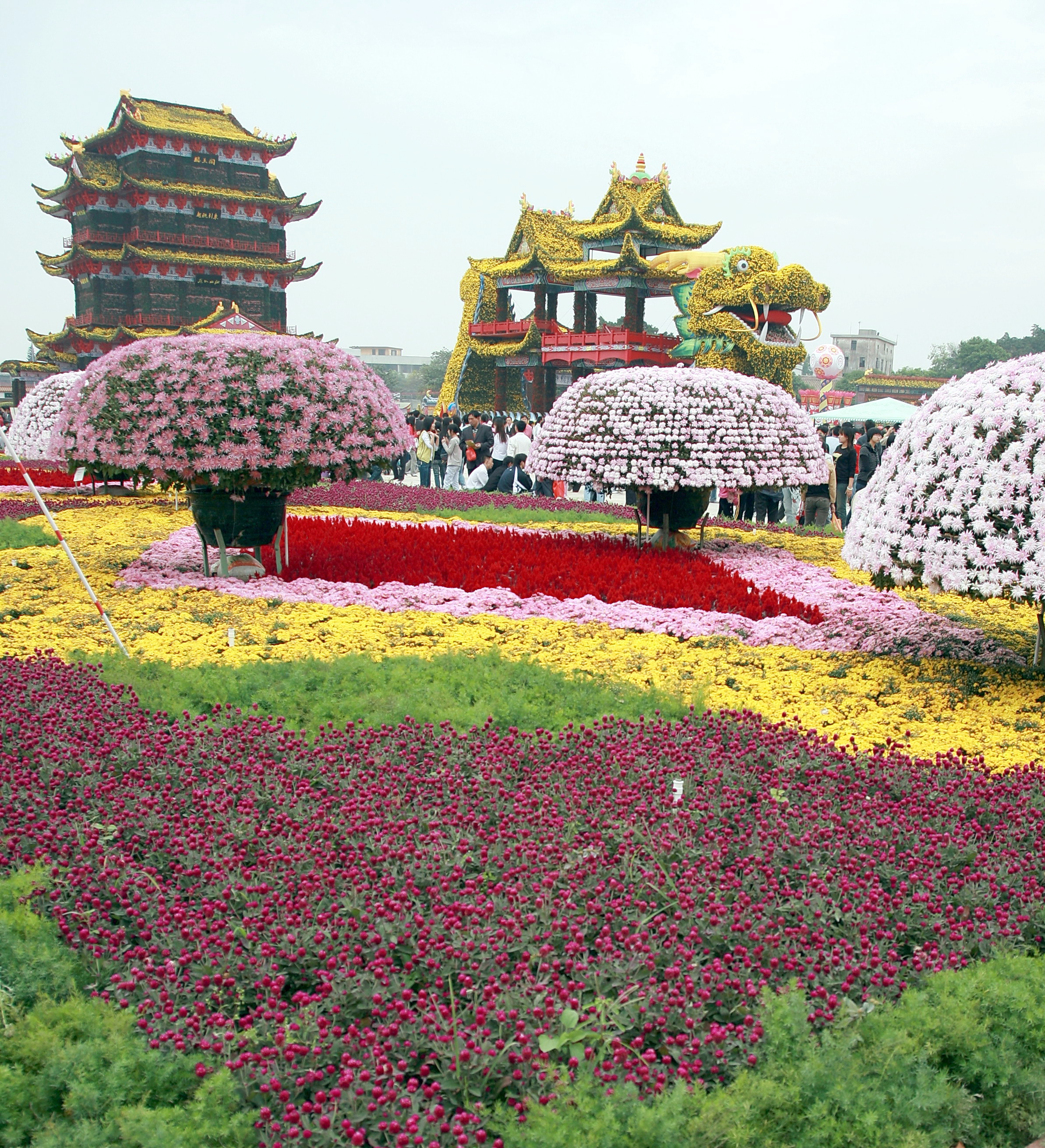中国月季园菊花展图片