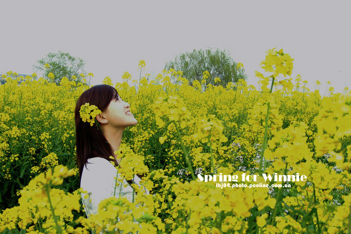 Spring F Winnie