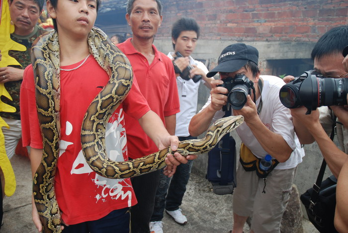 樟湖蛇节文化历史图片