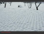 暖暖的春雪之一：地上的白馒头