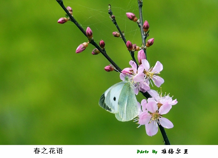 ֮