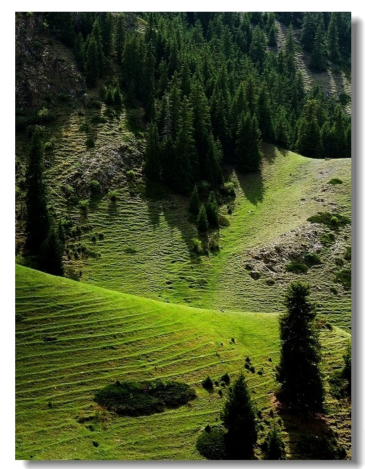 天山北麓