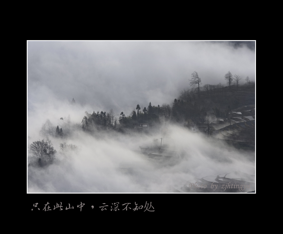 只在此山中,雲深不知處