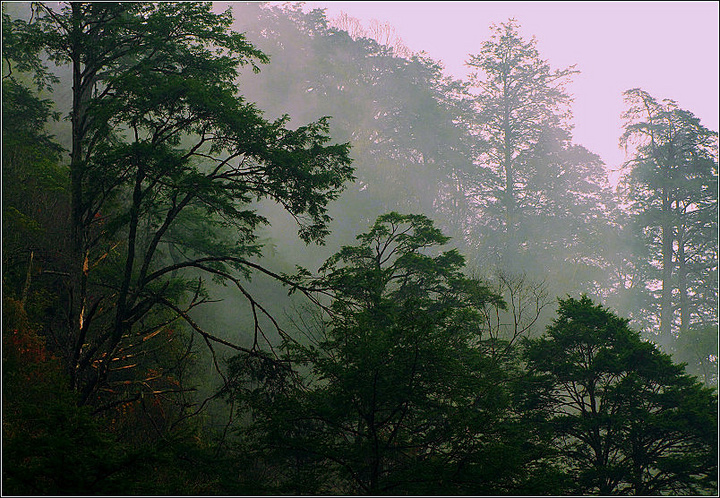 ĥ·ɫ