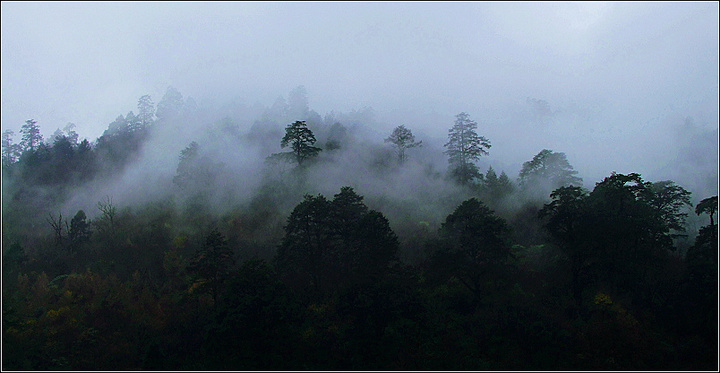 ĥ·ɫ