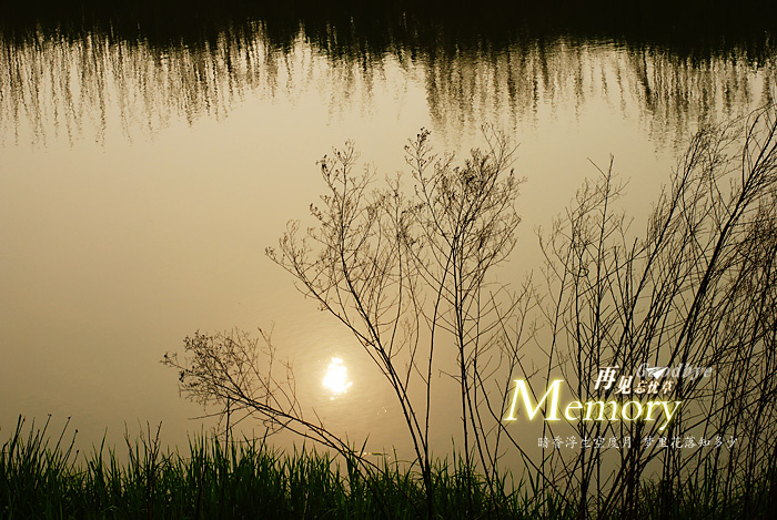 Memory̬
