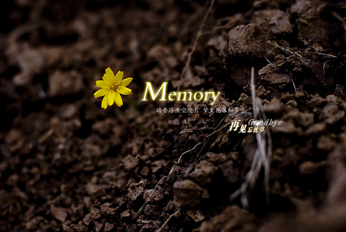 Memory̬