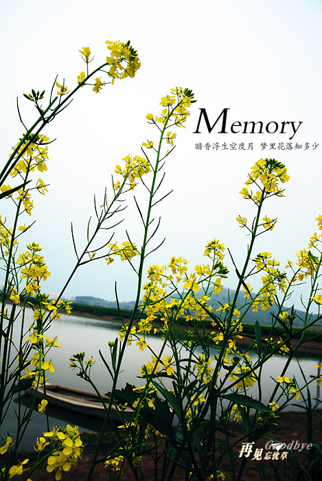 Memory̬