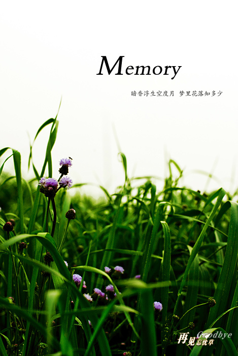 Memory̬