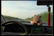 źȥ