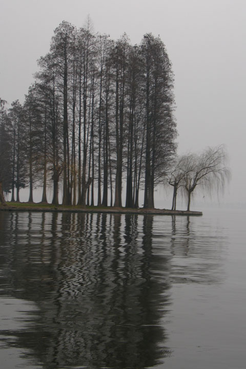 ˮī