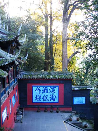 Ȼ----(ɷ缯)