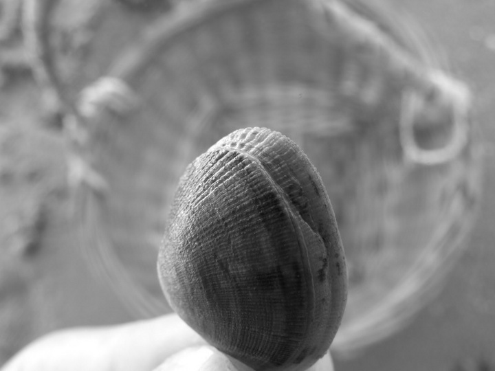 ʰ