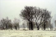 ֮