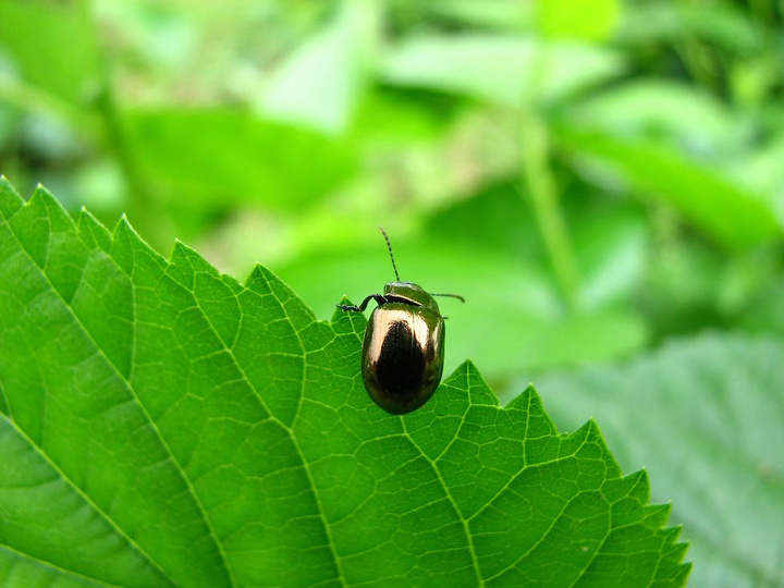컨Ὺ