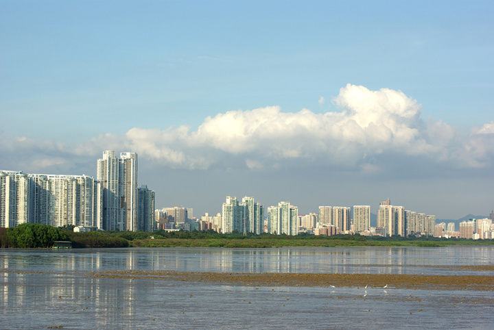 深圳红树林海滨生态公园