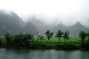 雨中的巴马