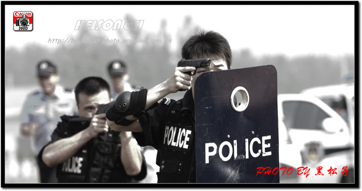 ɽ2008
