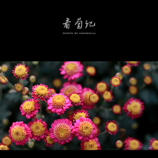 ռ