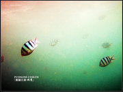 三亚海底世界摄影