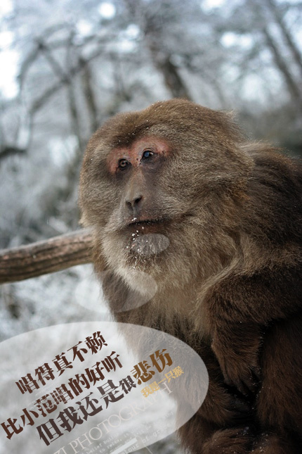 뿪