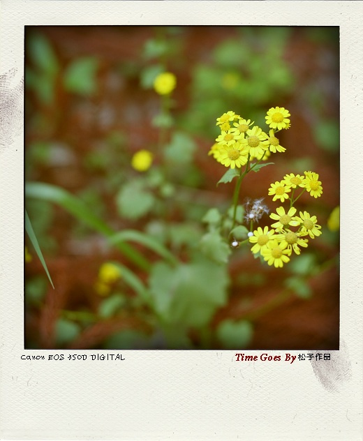 Time goes by ()