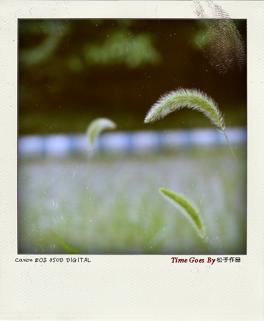 Time goes by ()