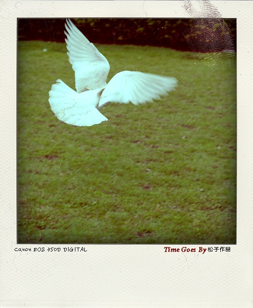 Time goes by ()