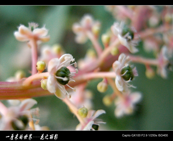 һ׵---֮Ӱ