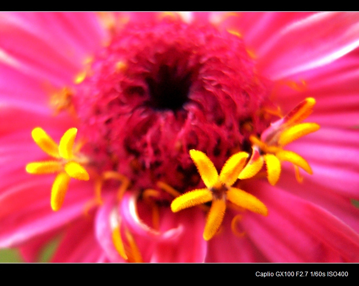 һ׵---֮Ӱ
