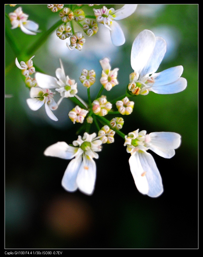 һ׵---֮Ӱ