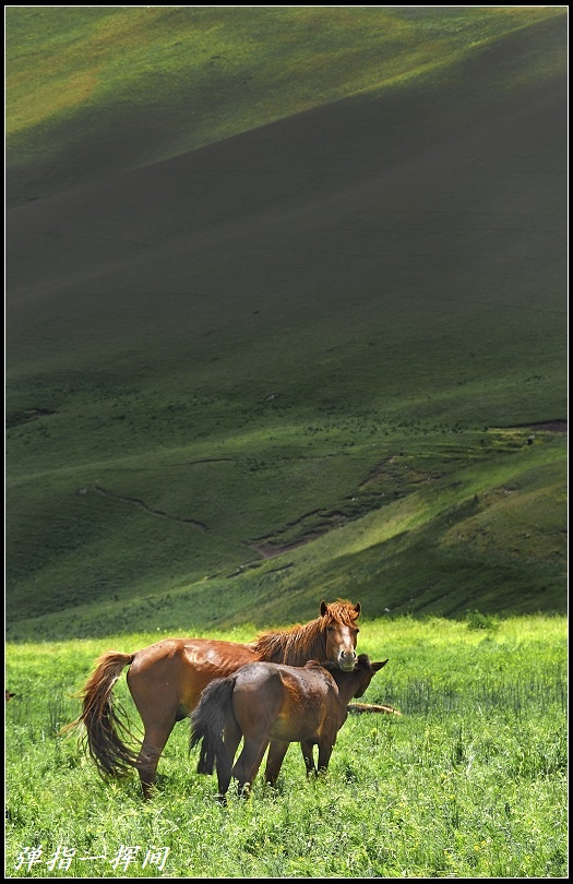 п