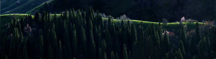 ٻʢӹ--Īƪ
