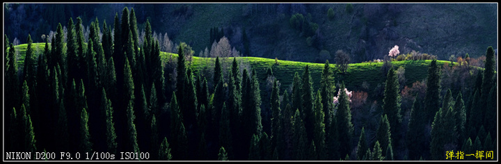 ٻʢӹ--Īƪ