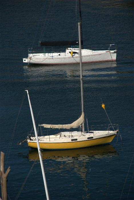 С- Cremorne Point